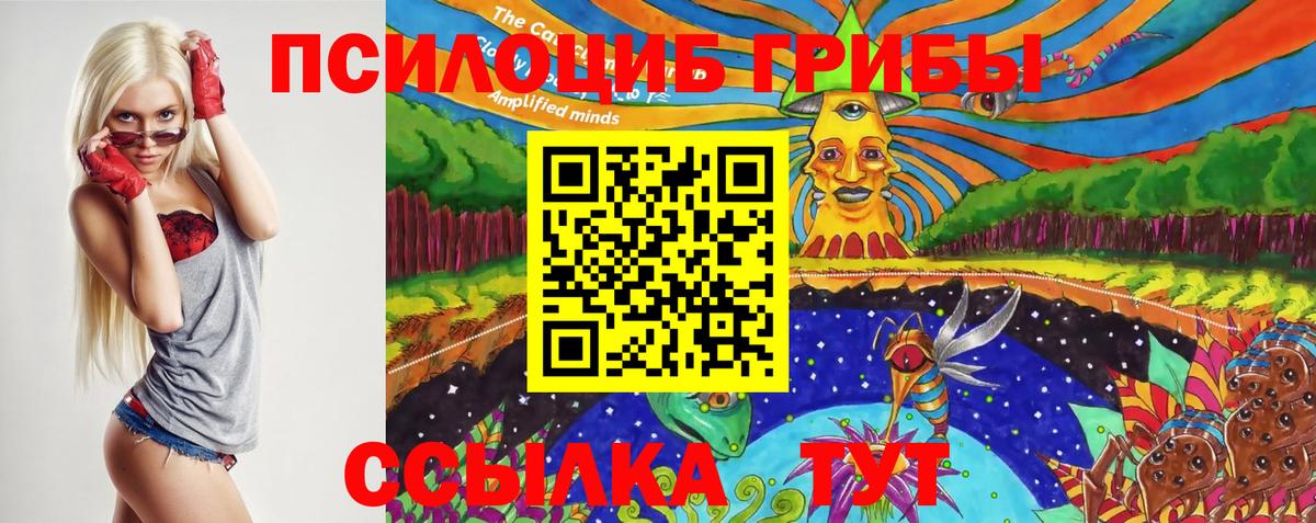 Галлюциногенные грибы Psilocybine cubensis  Вход с VPN  Златоуст  Галлюциногенные грибы GOLDEN TEACHER 