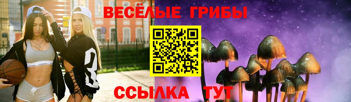 Псилоцибиновые грибы Psilocybe Златоуст